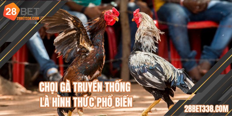 Chọi gà truyền thống là hình thức phổ biến